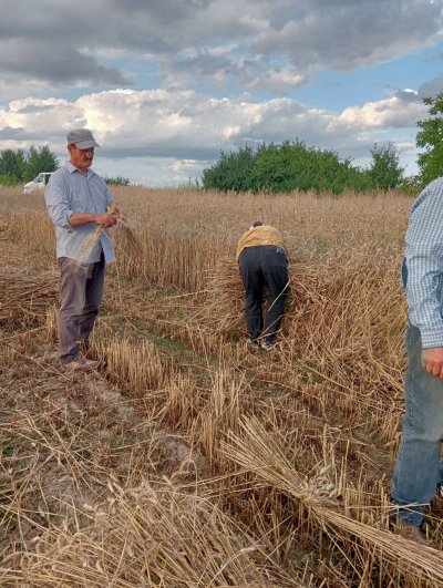 Okładka albumu: Zażynki w Rozięcinie 2025